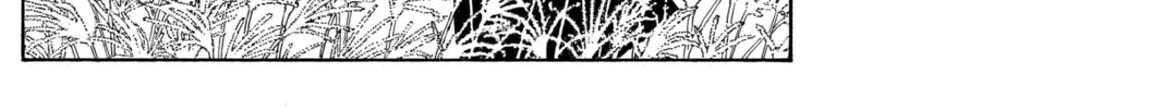 Read Assassination Classroom Manga Online