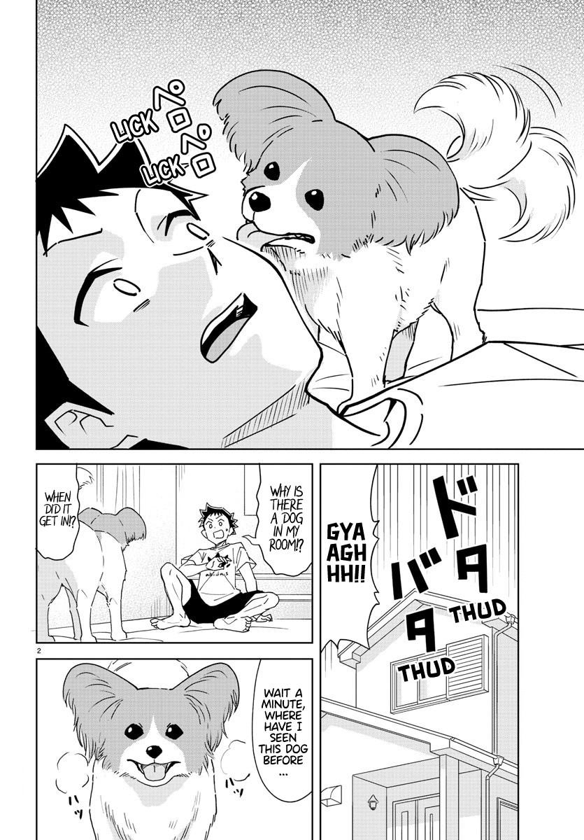 Read Atsumare! Fushigi Kenkyu-bu Manga Online