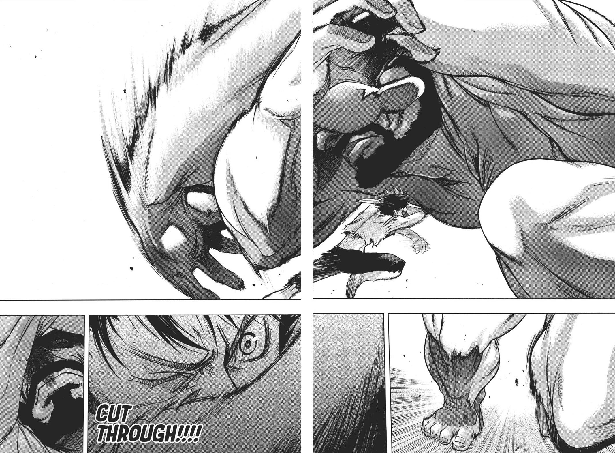 Read Attack on Titan - Before the Fall Manga Online