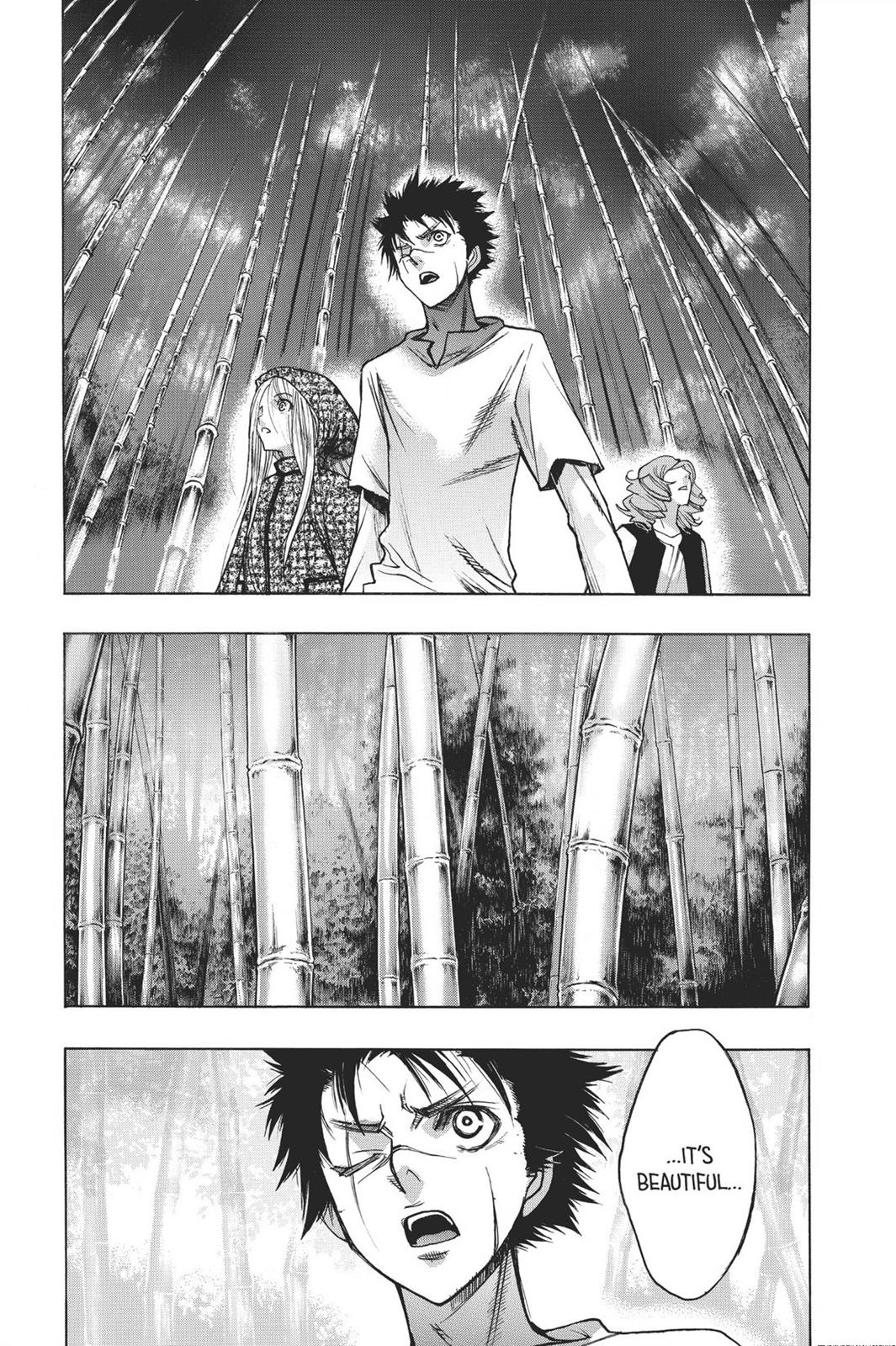 Read Attack on Titan - Before the Fall Manga Online