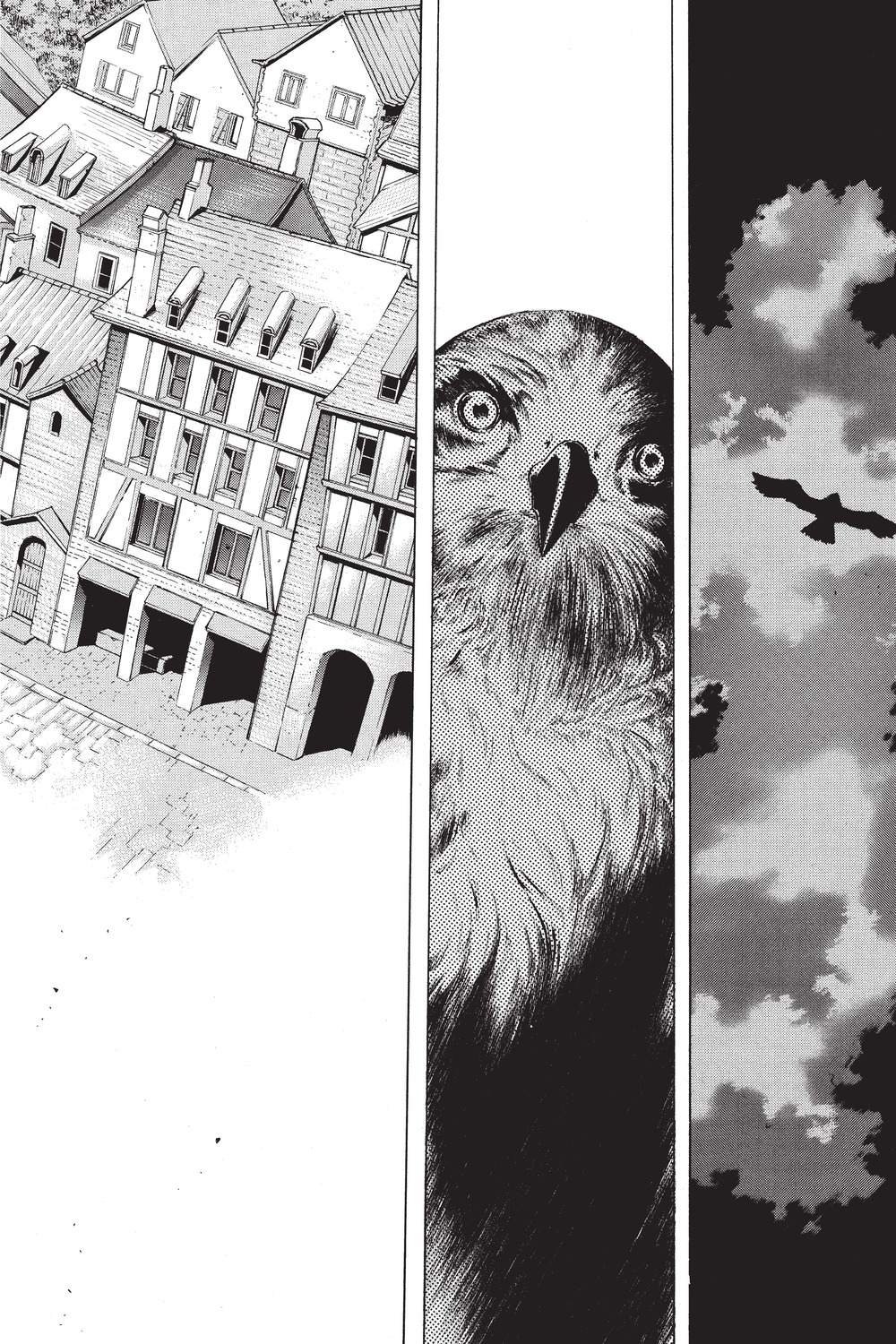 Read Attack on Titan - Before the Fall Manga Online