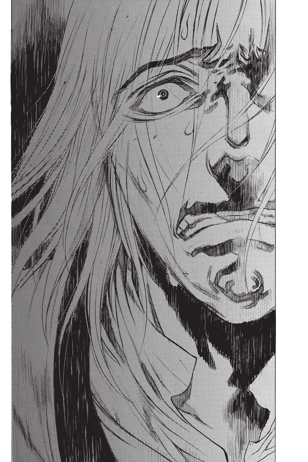 Read Attack on Titan - Before the Fall Manga Online