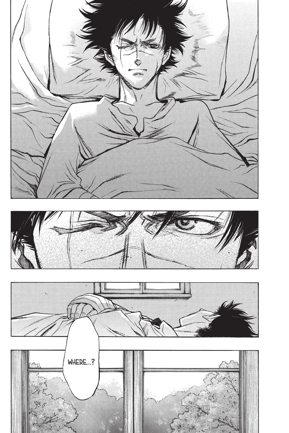 Read Attack on Titan - Before the Fall Manga Online