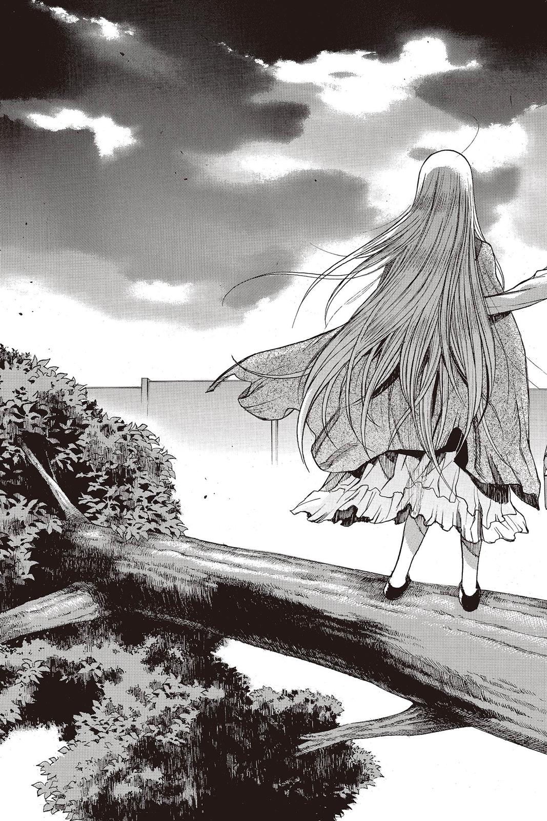 Read Attack on Titan - Before the Fall Manga Online