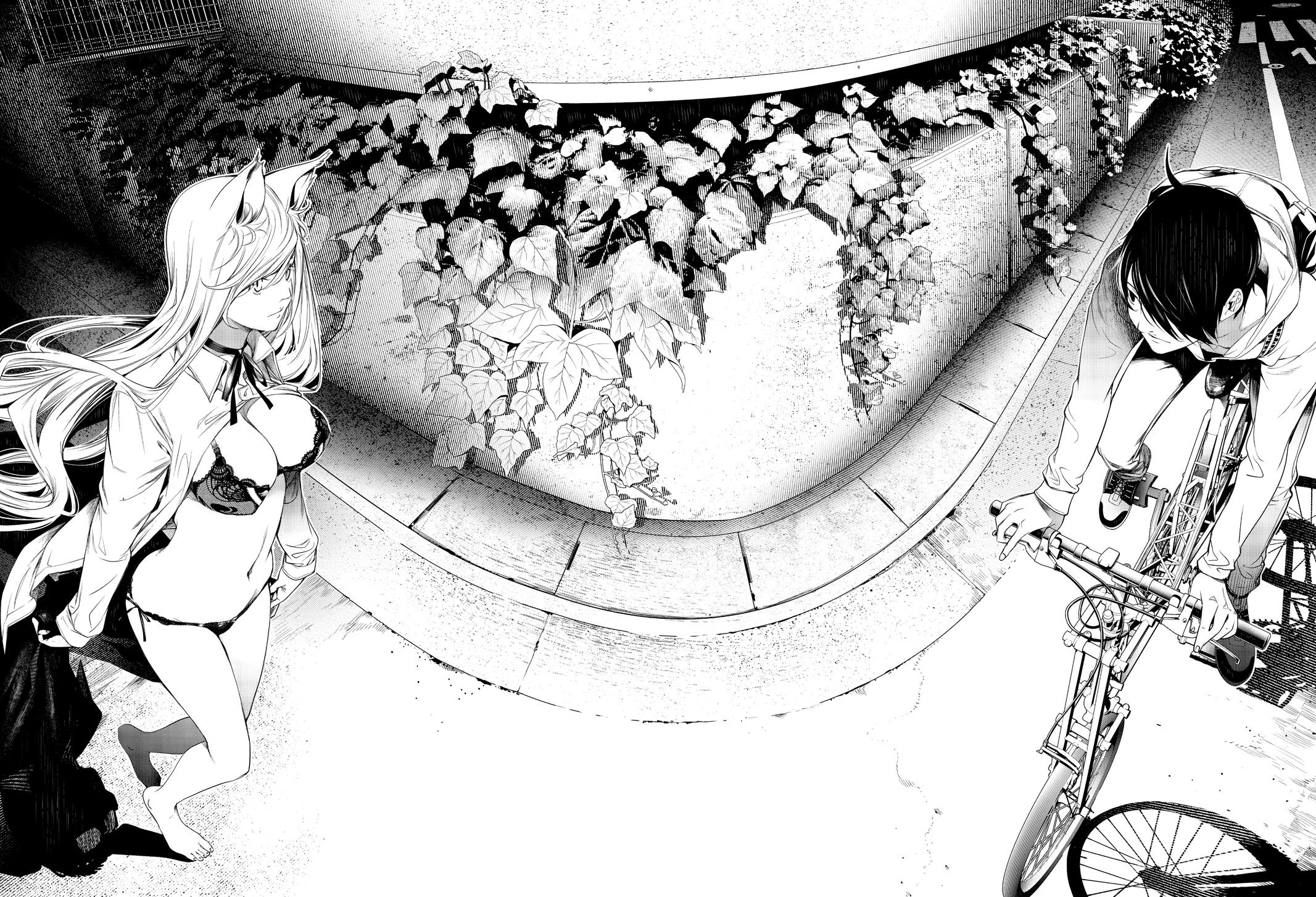 Read Bakemonogatari Manga Online