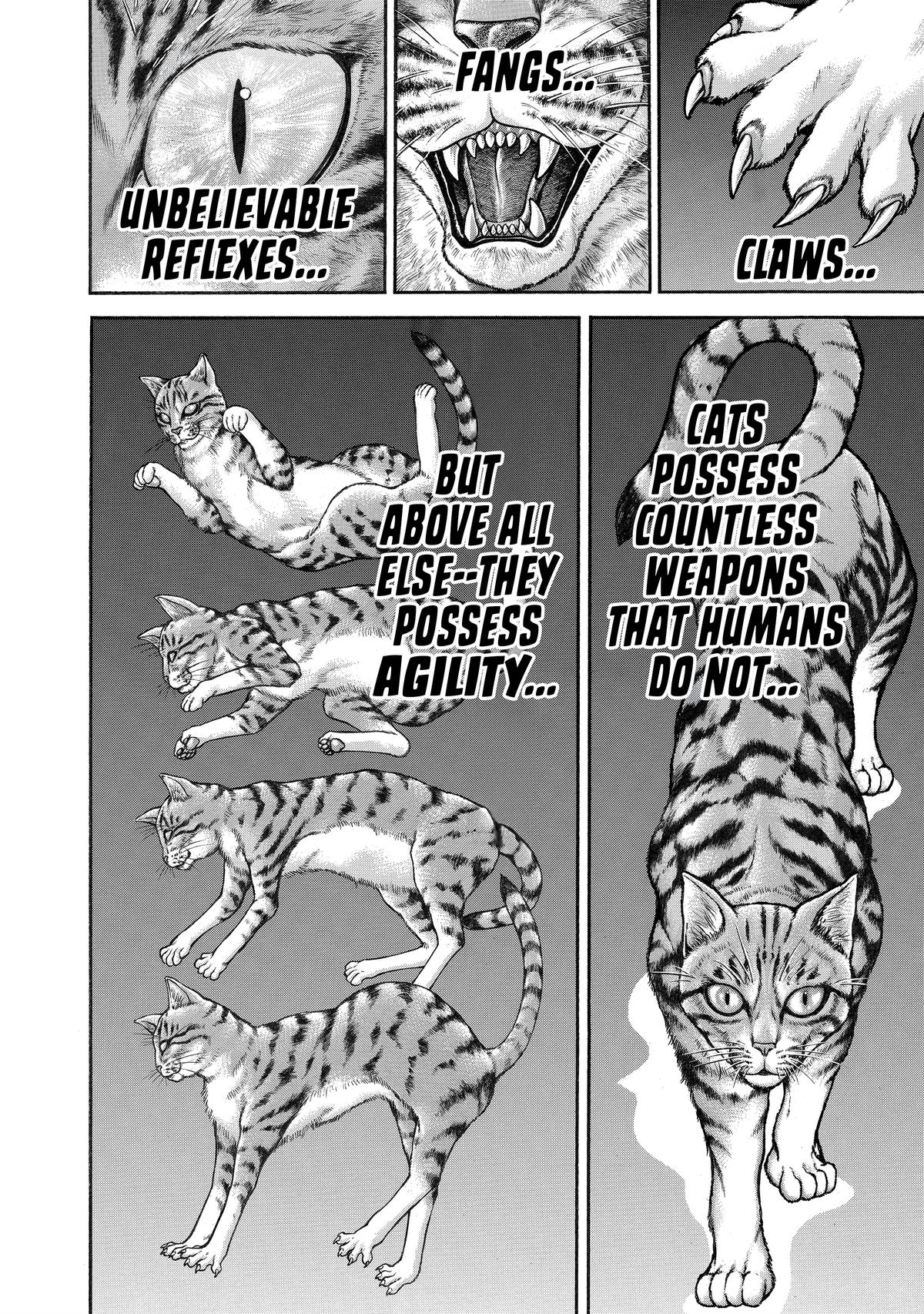 Read Baki - Son of Ogre Manga Online