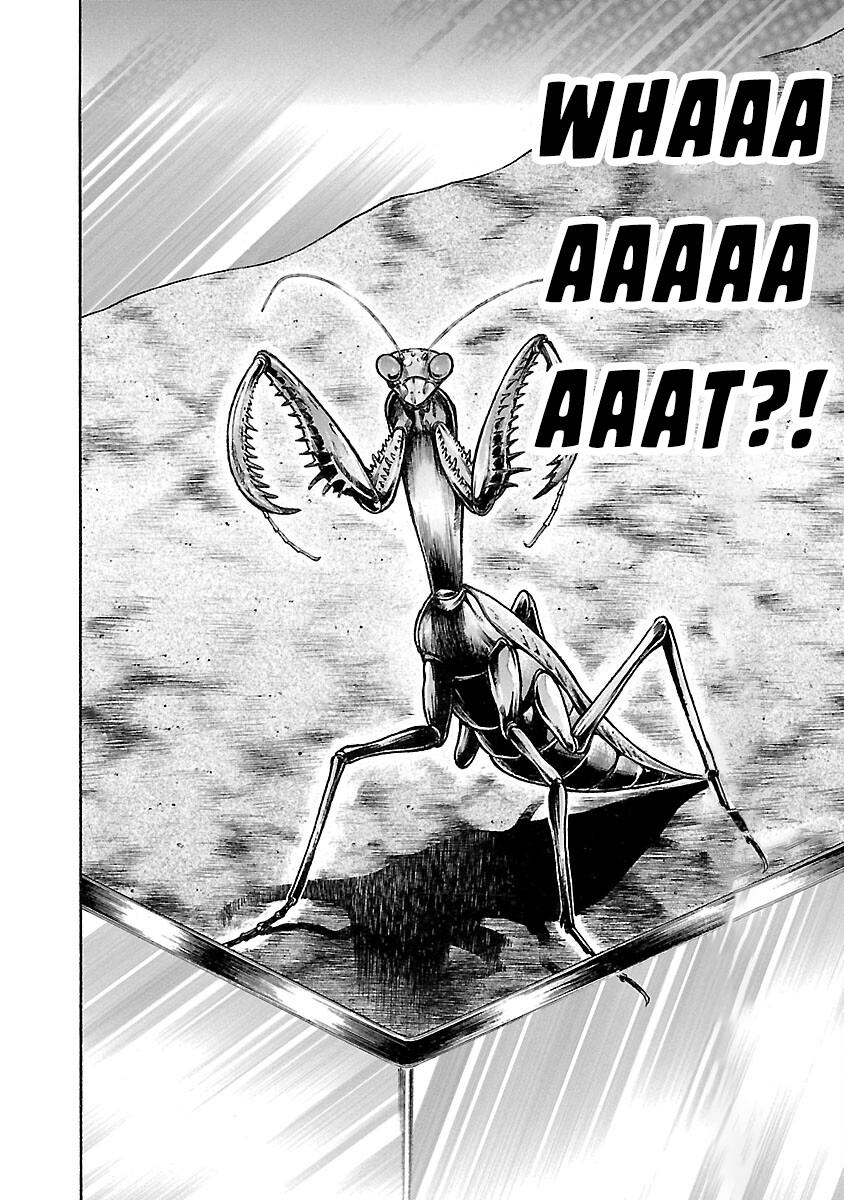 Read Baki - Son of Ogre Manga Online