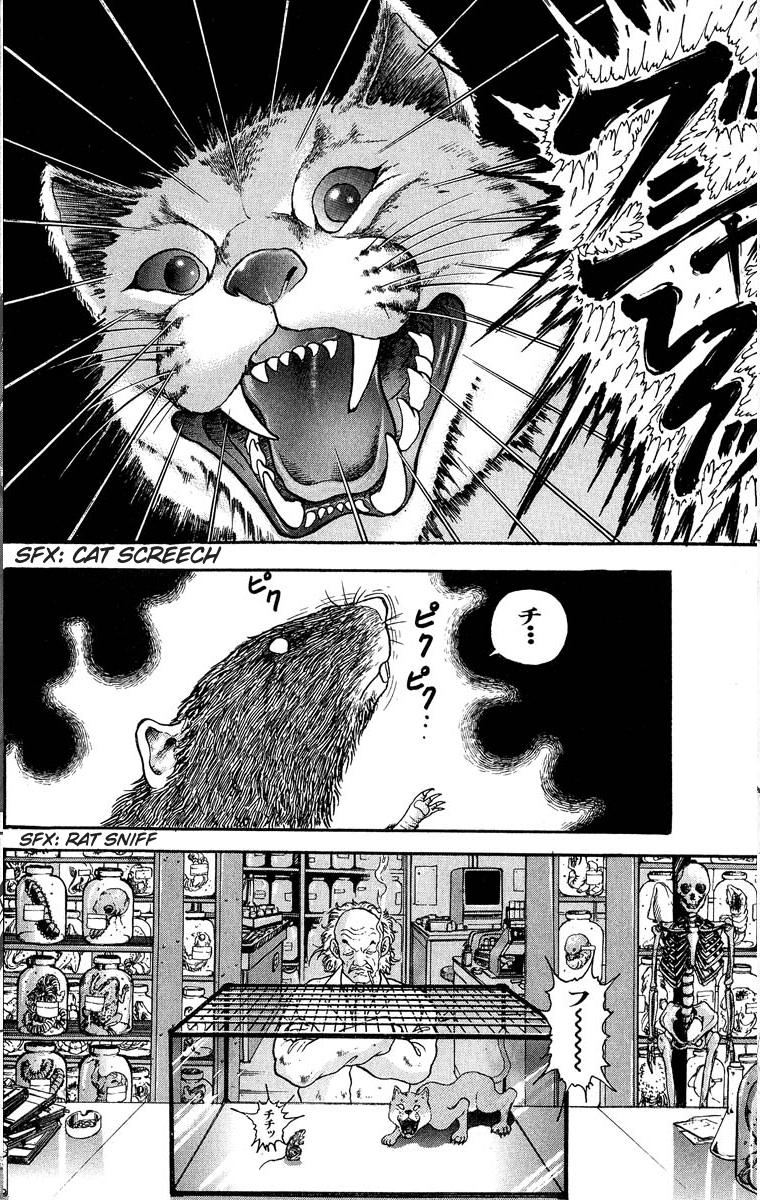 Read Baki The Grappler Manga Online
