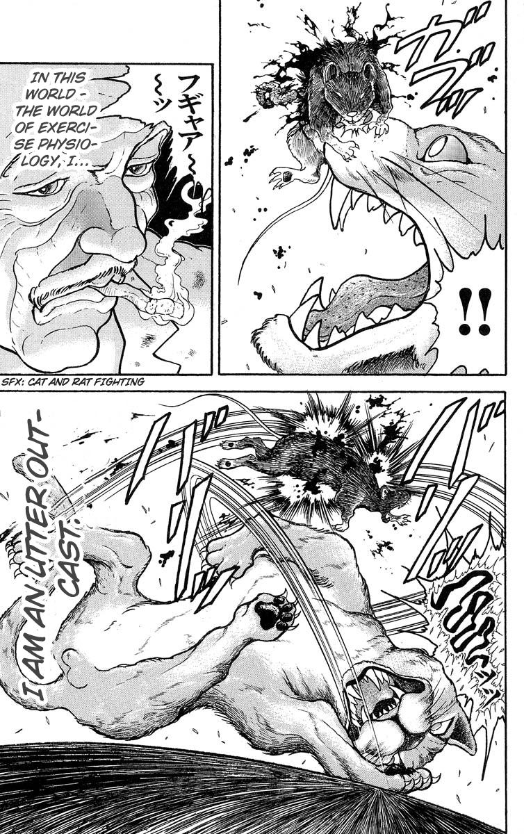 Read Baki The Grappler Manga Online