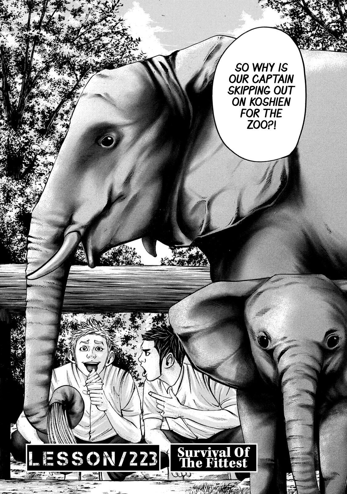 Read Battle Studies Manga Online