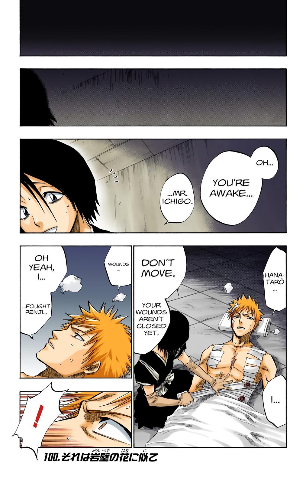 Read Bleach (Color) Manga Online