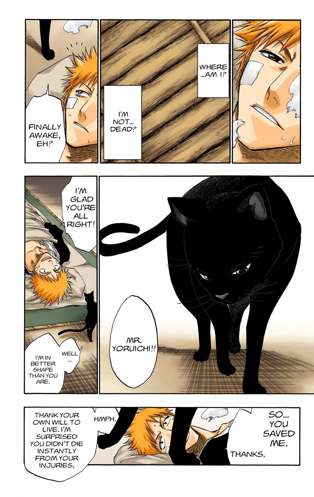 Read Bleach (Color) Manga Online