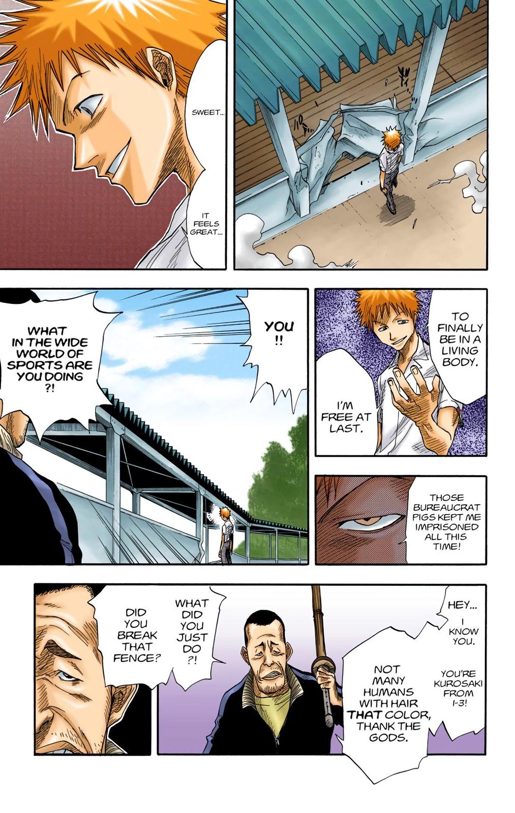 Read Bleach (Color) Manga Online