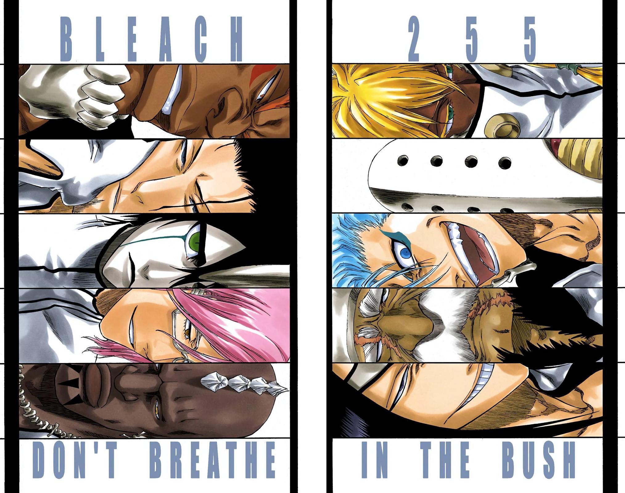 Read Bleach (Color) Manga Online