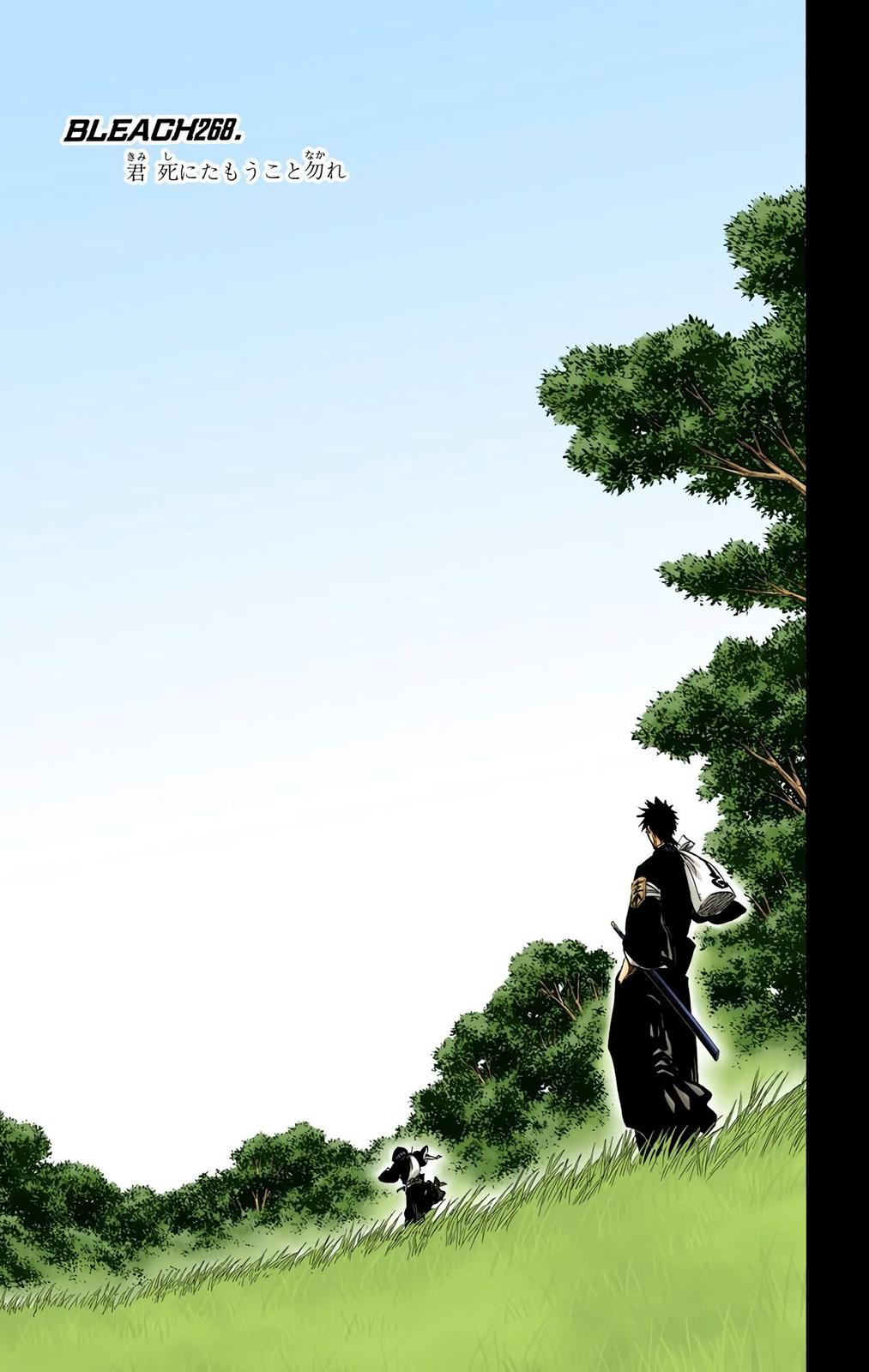 Read Bleach (Color) Manga Online