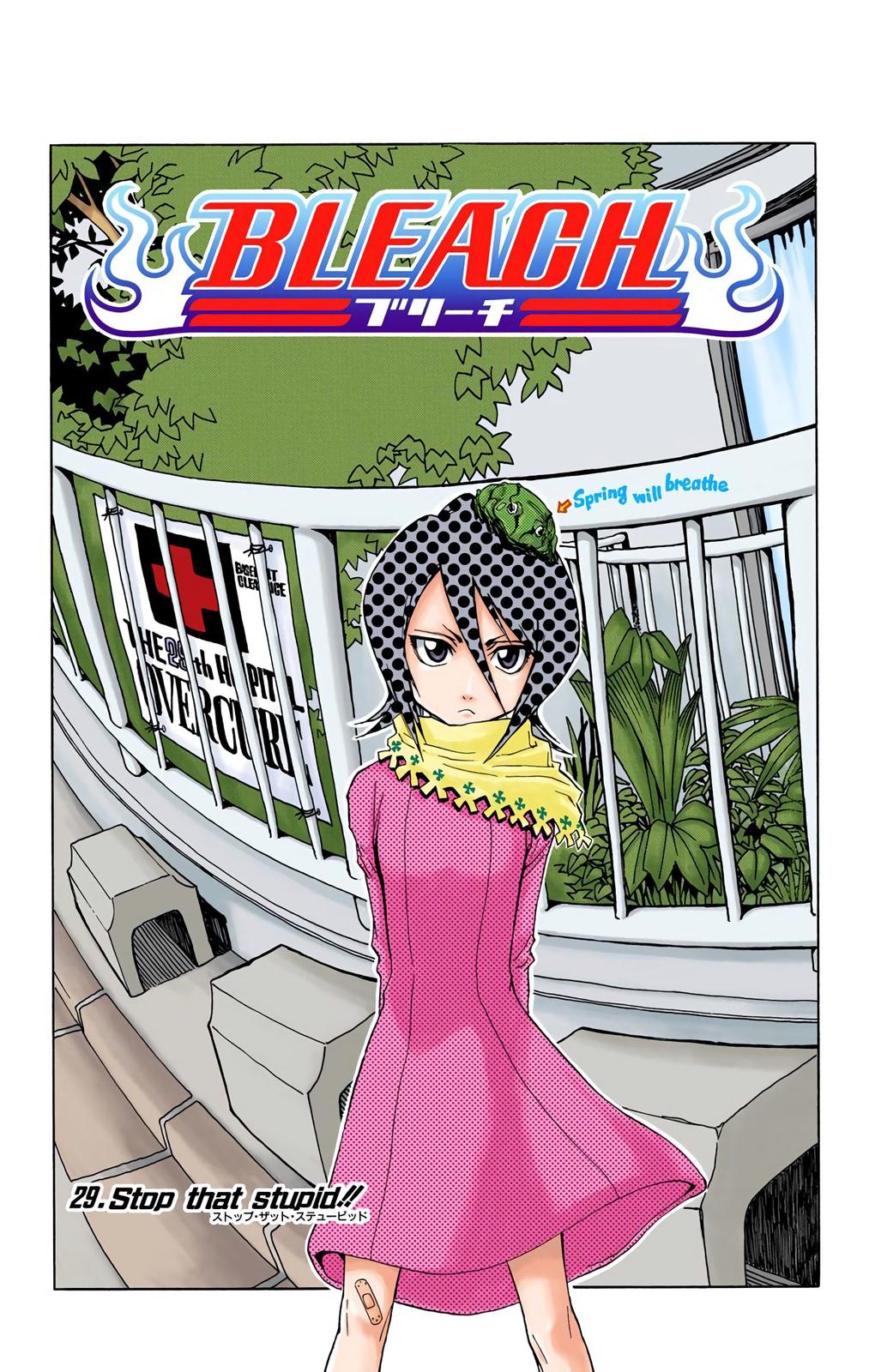 Read Bleach (Color) Manga Online