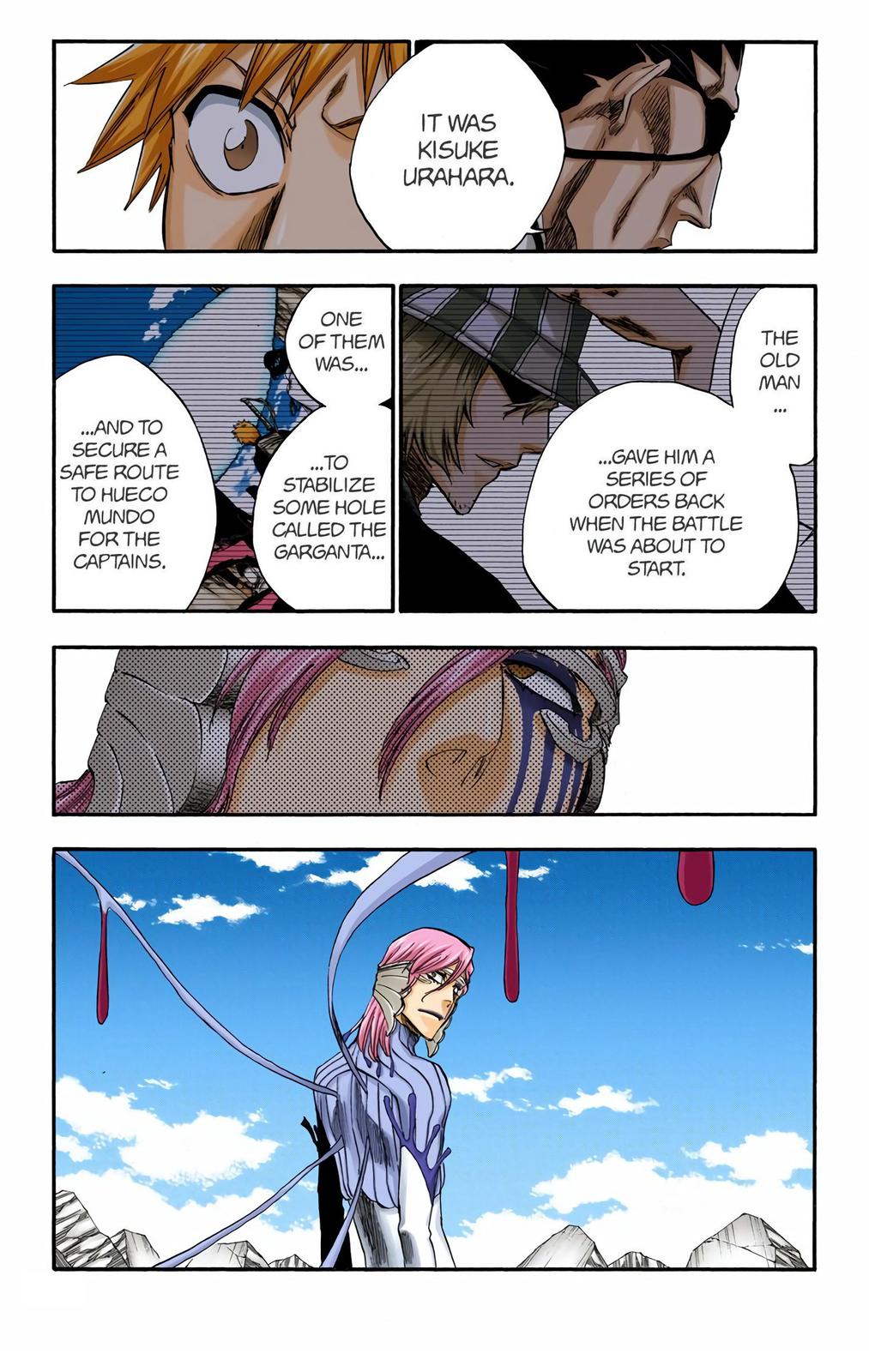 Read Bleach (Color) Manga Online