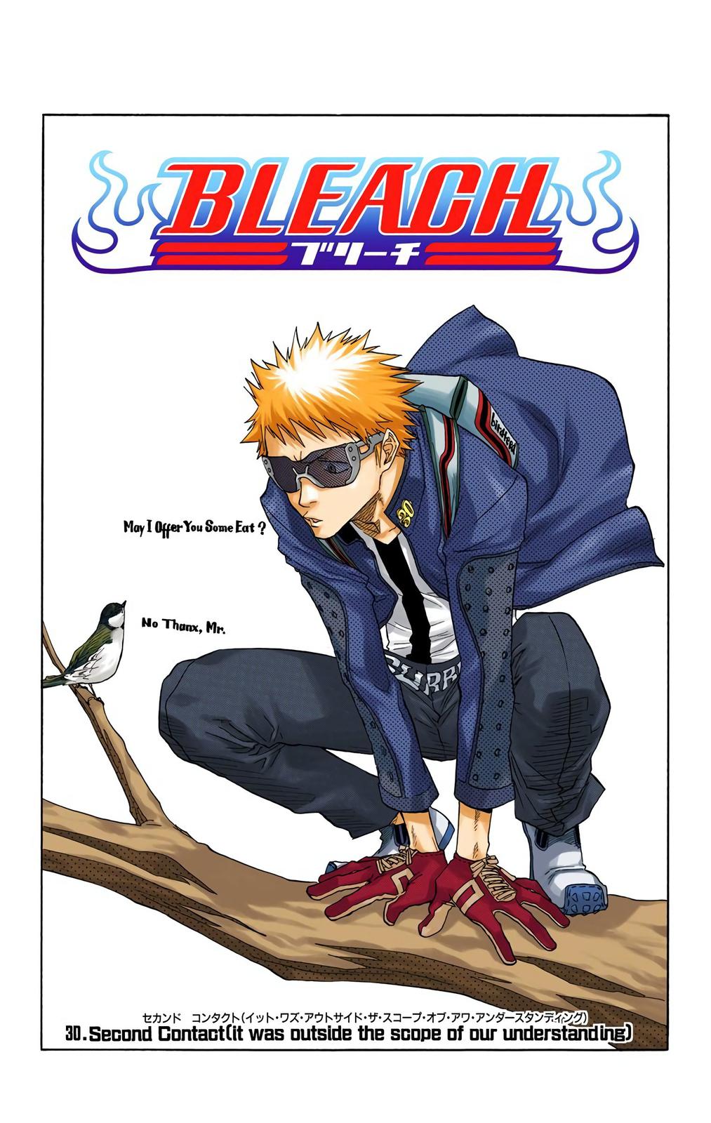 Read Bleach (Color) Manga Online