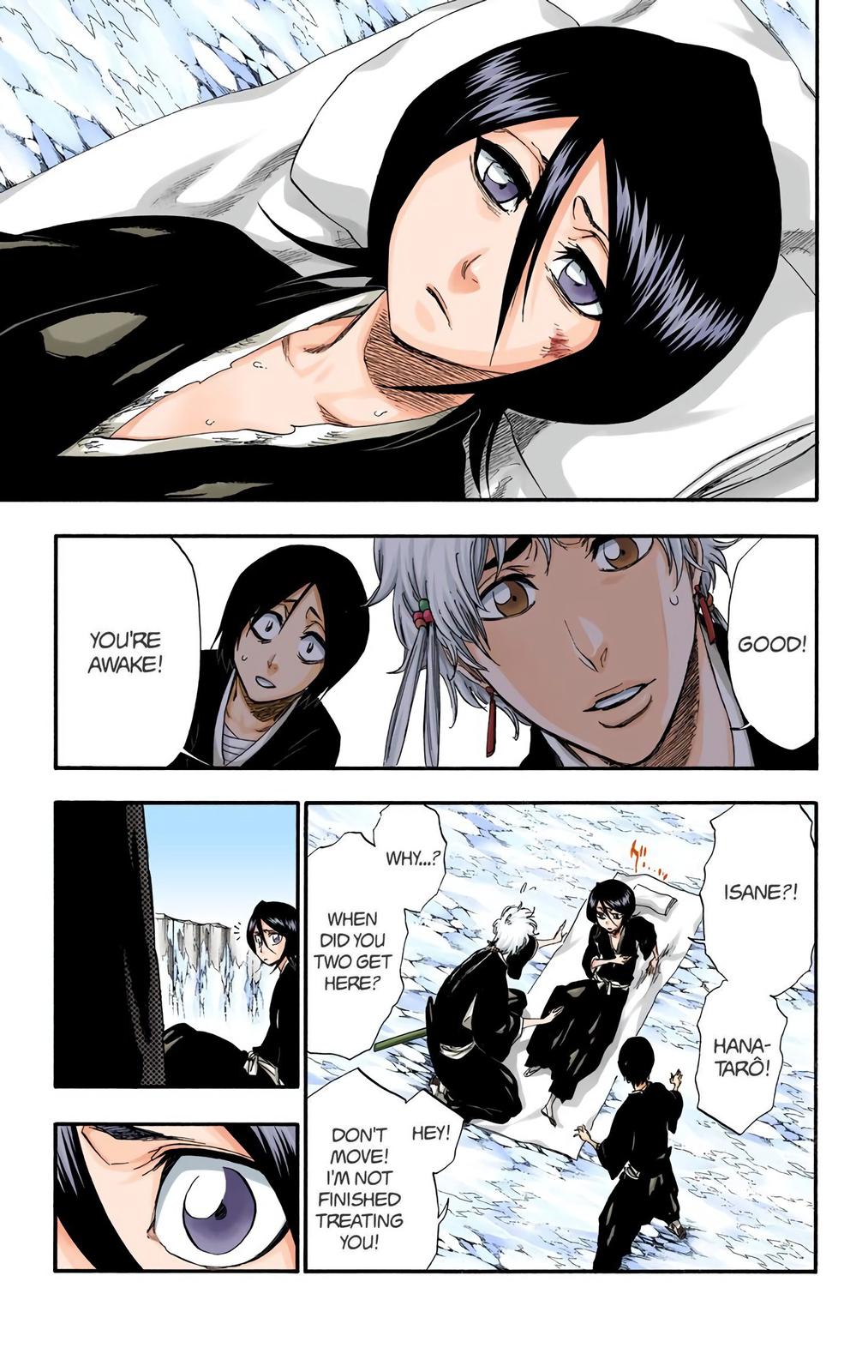 Read Bleach (Color) Manga Online
