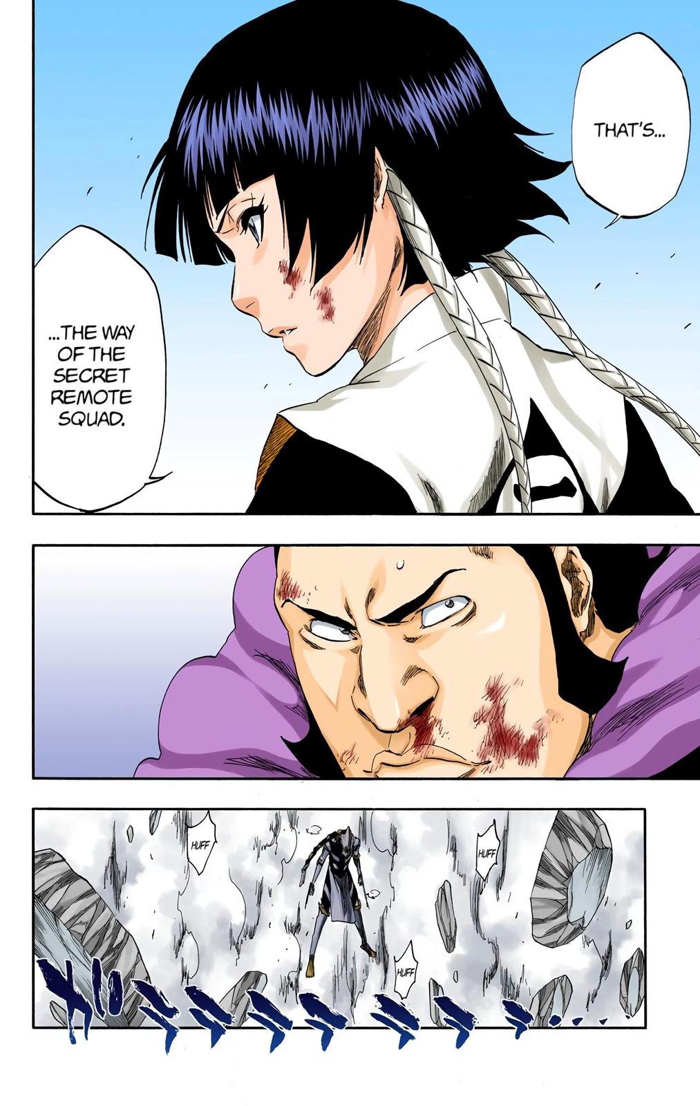 Read Bleach (Color) Manga Online