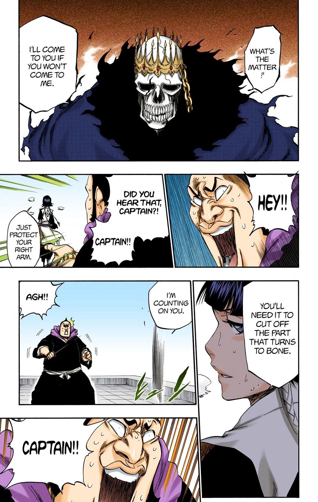 Read Bleach (Color) Manga Online