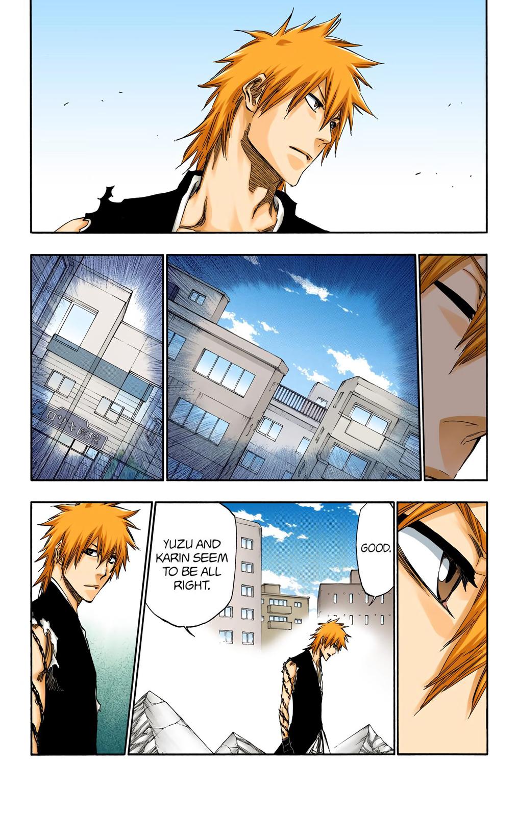 Read Bleach (Color) Manga Online
