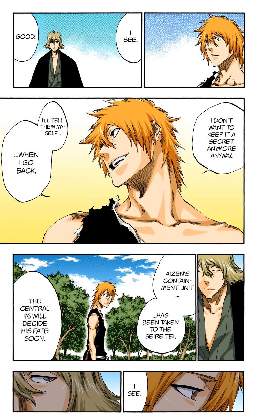 Read Bleach (Color) Manga Online