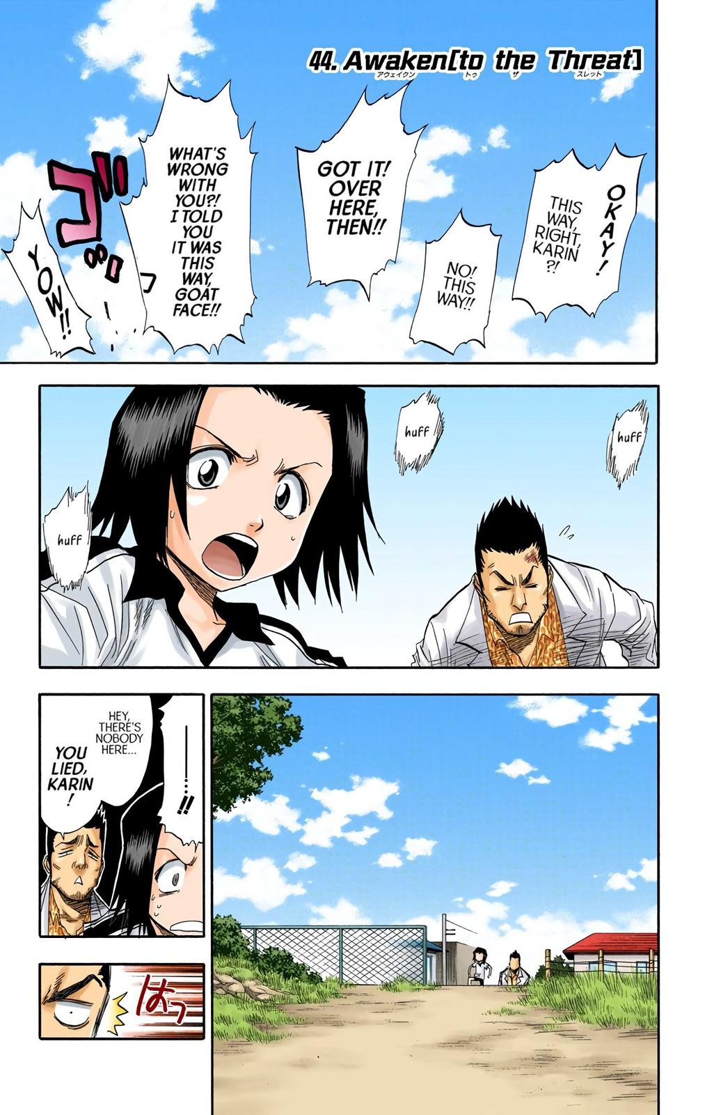 Read Bleach (Color) Manga Online