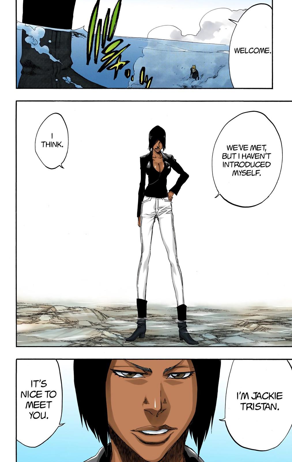 Read Bleach (Color) Manga Online