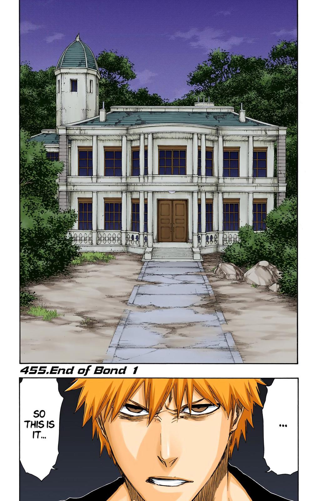 Read Bleach (Color) Manga Online