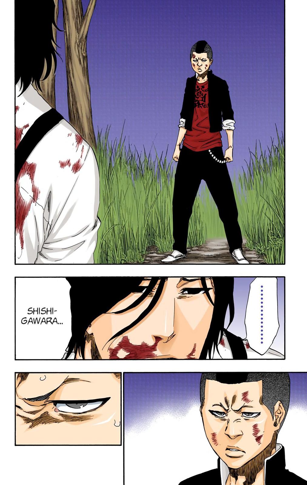 Read Bleach (Color) Manga Online