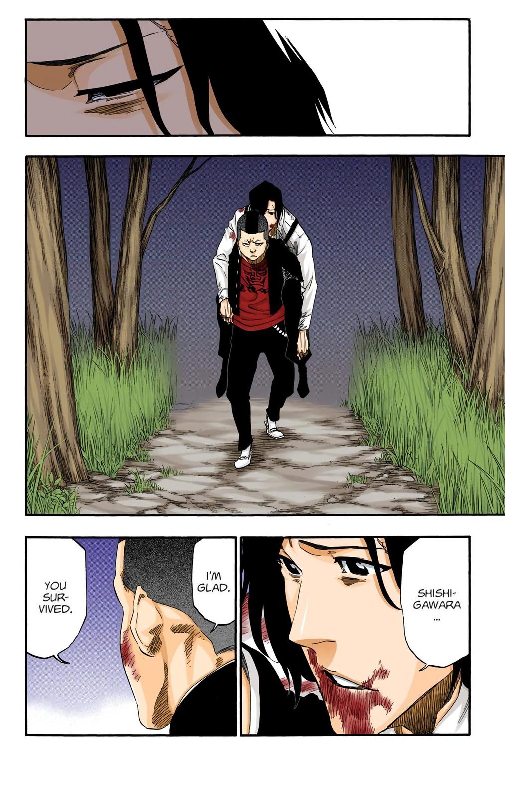 Read Bleach (Color) Manga Online