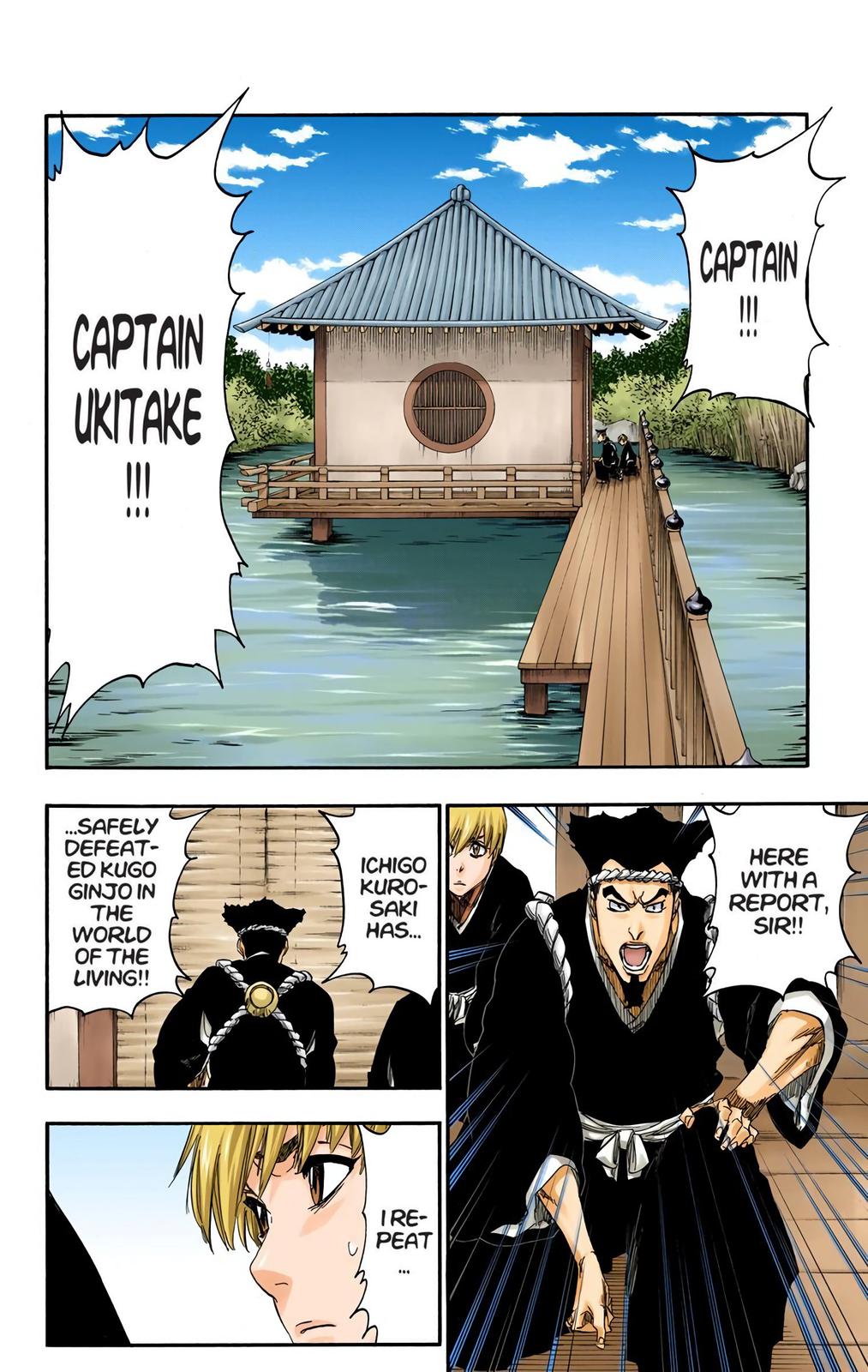 Read Bleach (Color) Manga Online