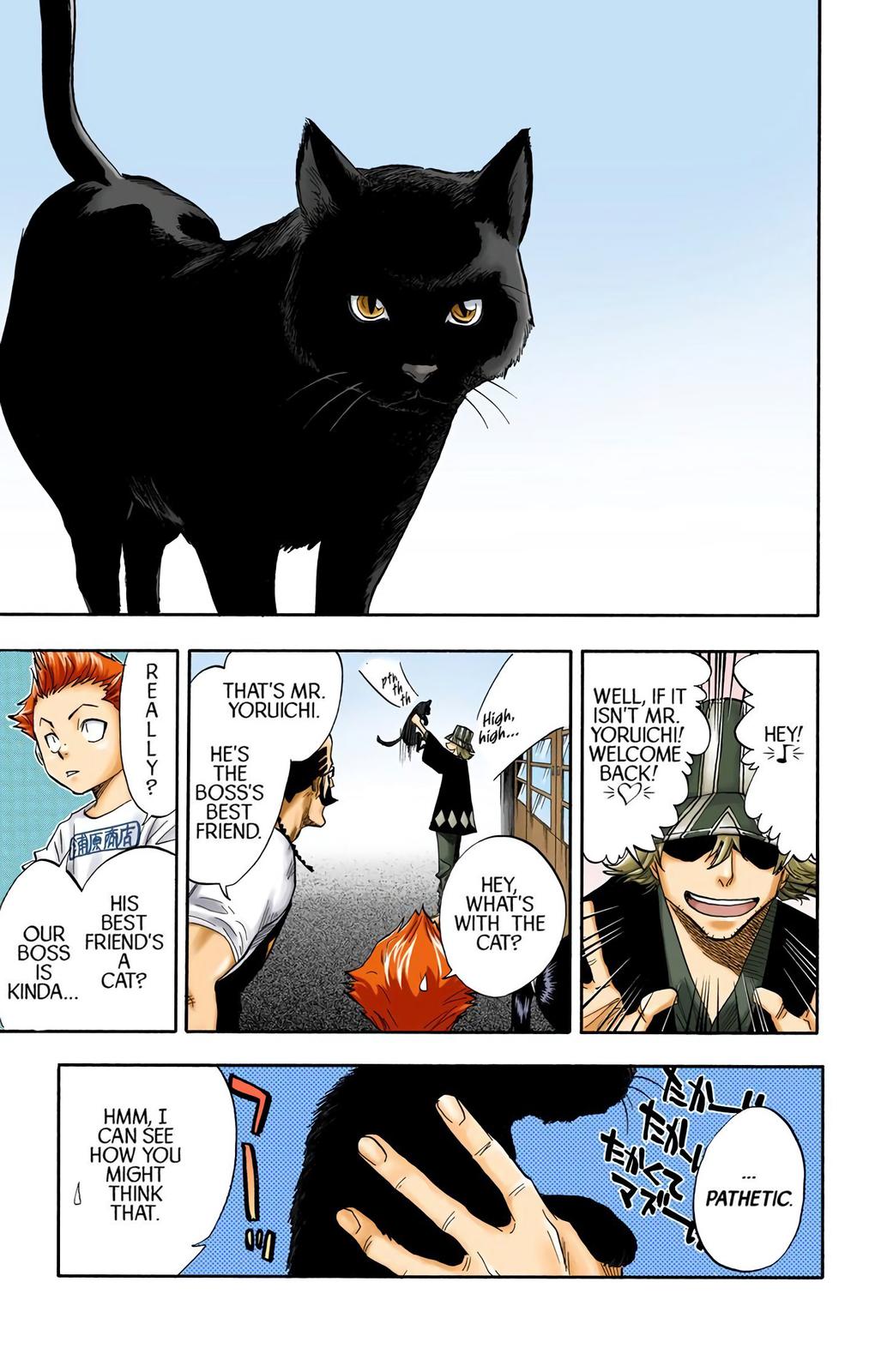 Read Bleach (Color) Manga Online