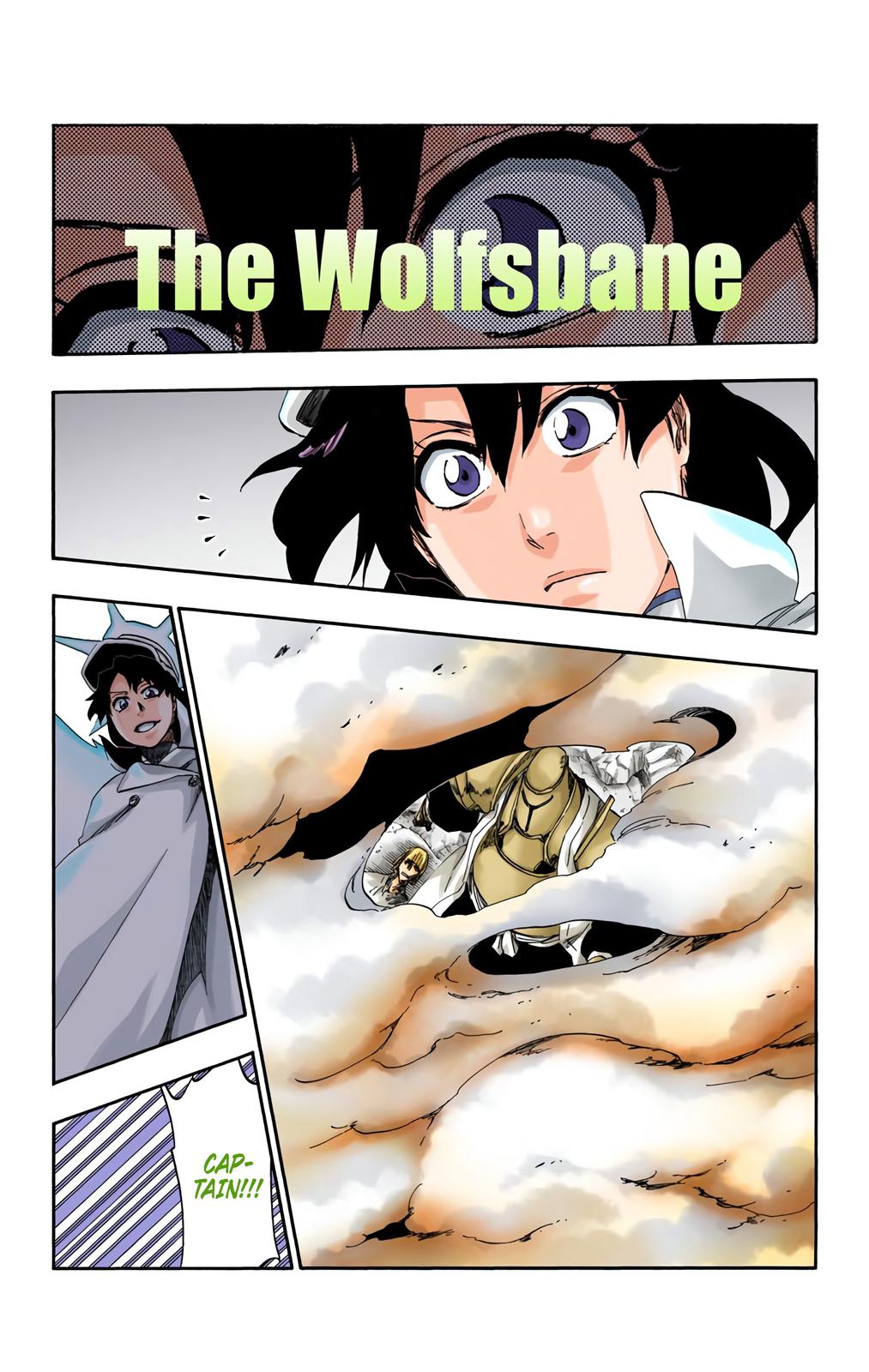 Read Bleach (Color) Manga Online