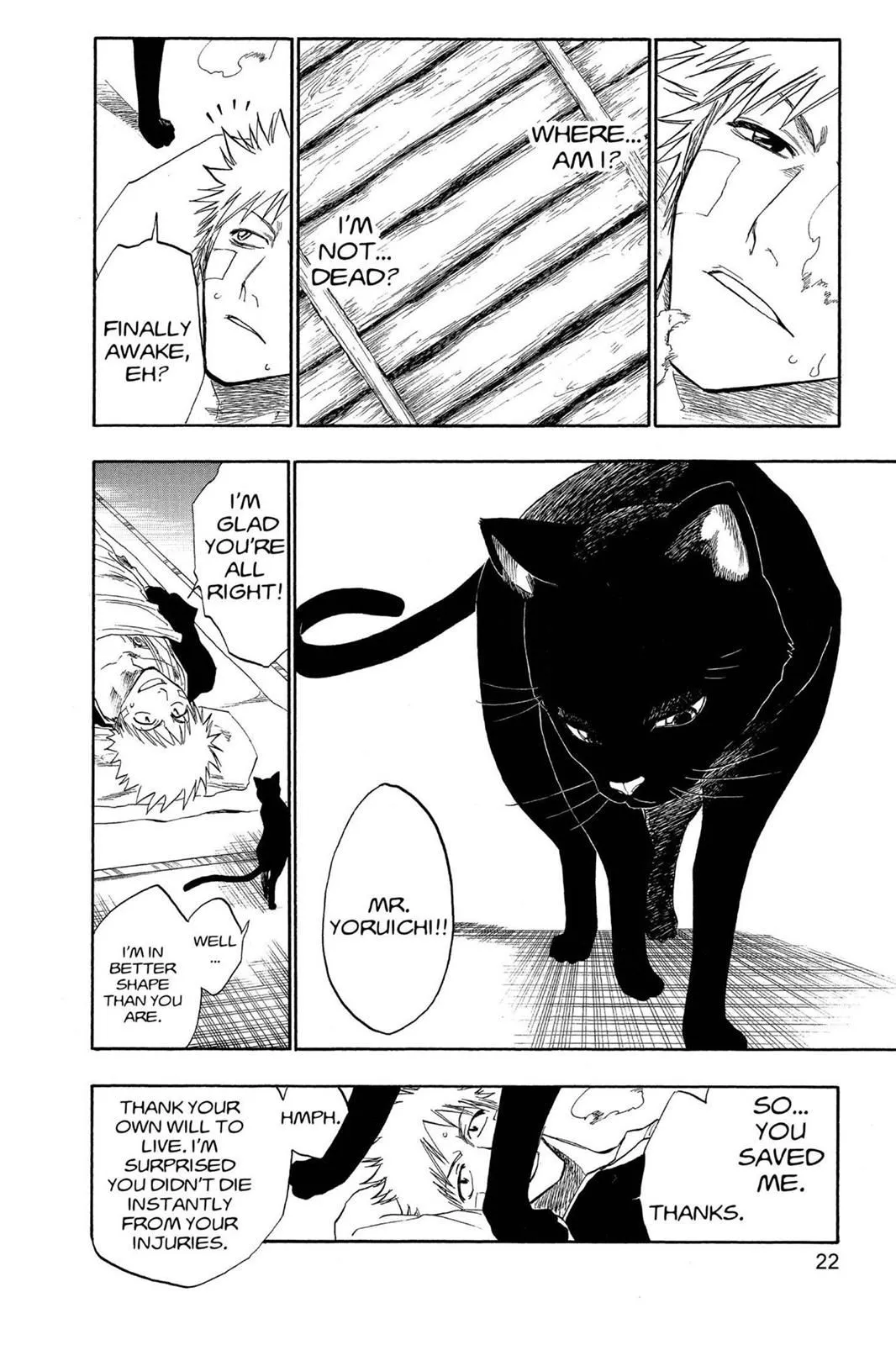 Read Bleach Manga Online