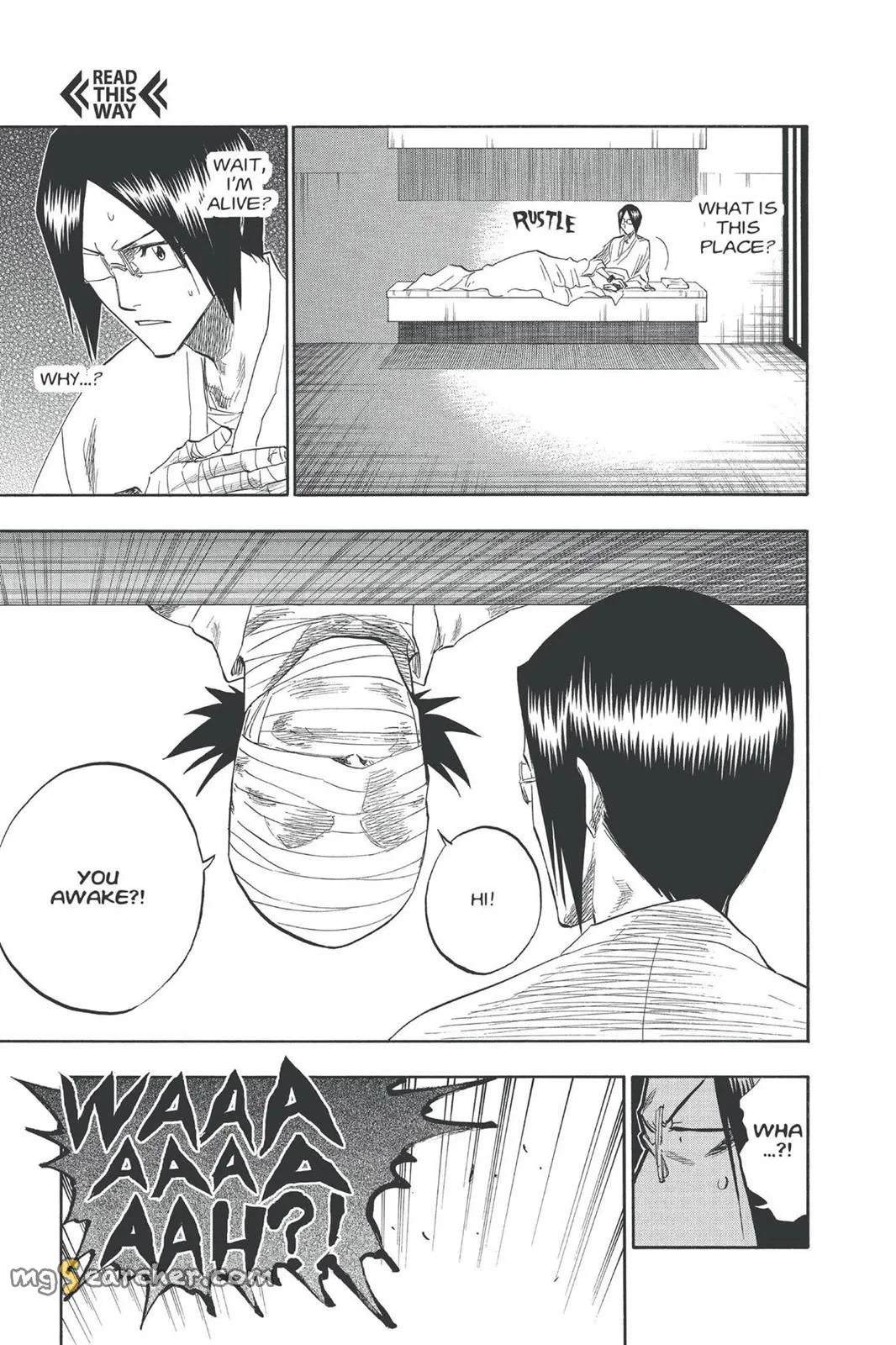 Read Bleach Manga Online