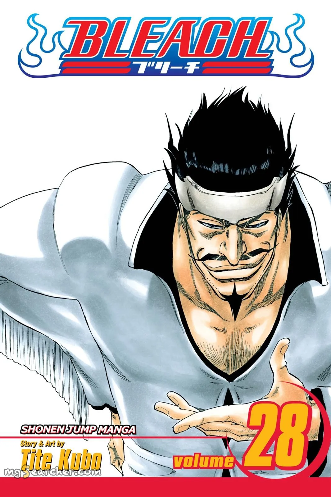 Read Bleach Manga Online