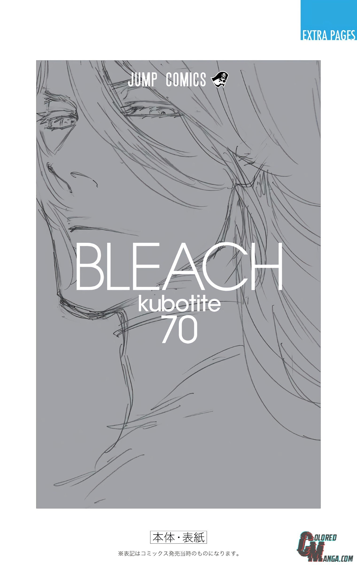 Read Bleach Manga Online
