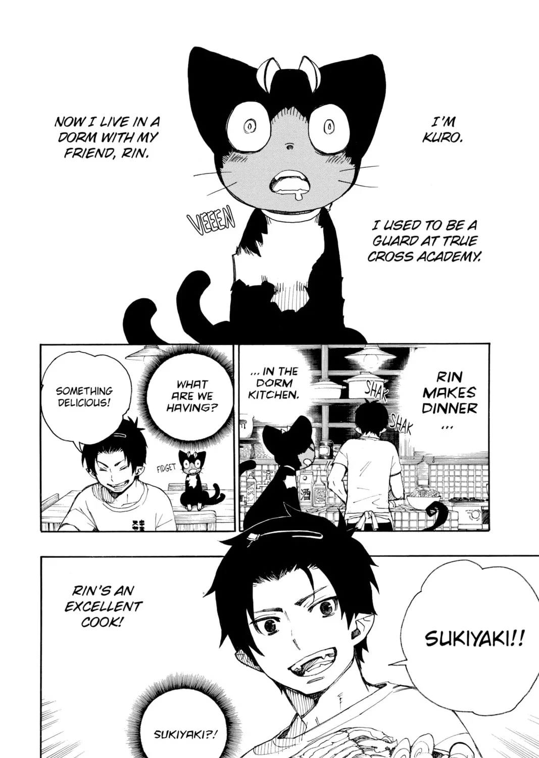 Read Blue Exorcist Manga Online
