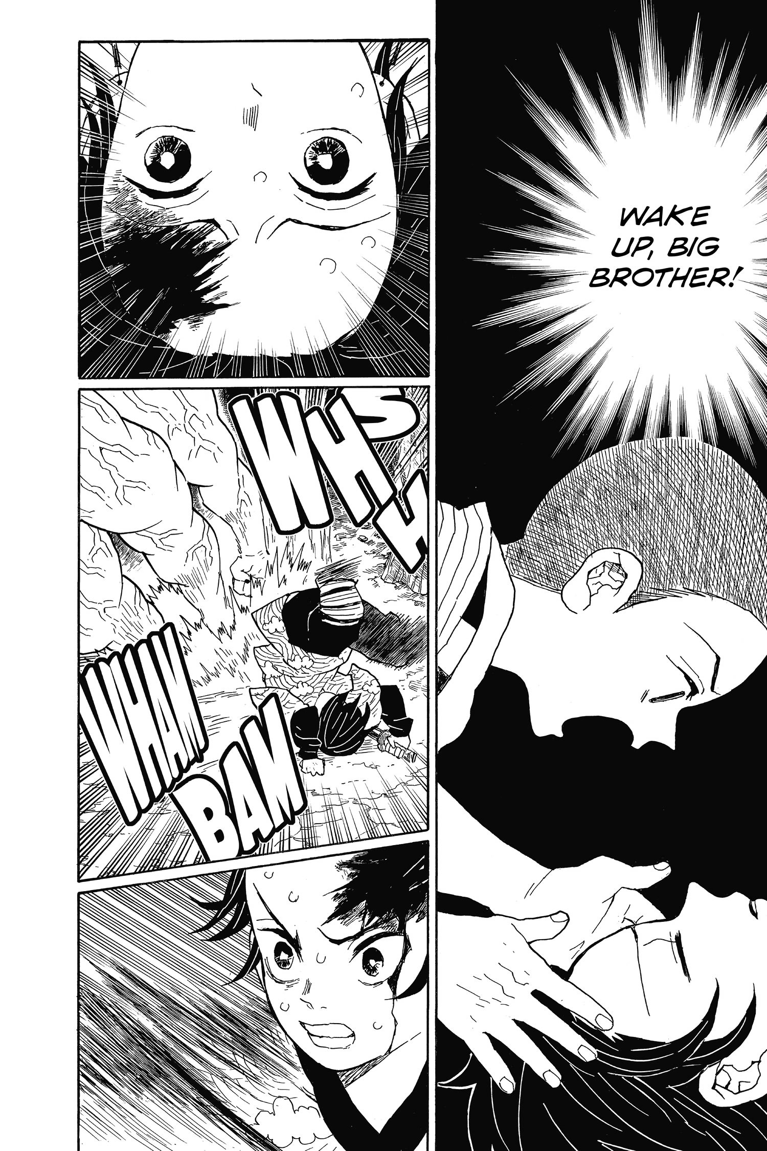 Read Demon Slayer  Kimetsu no Yaiba Manga Online
