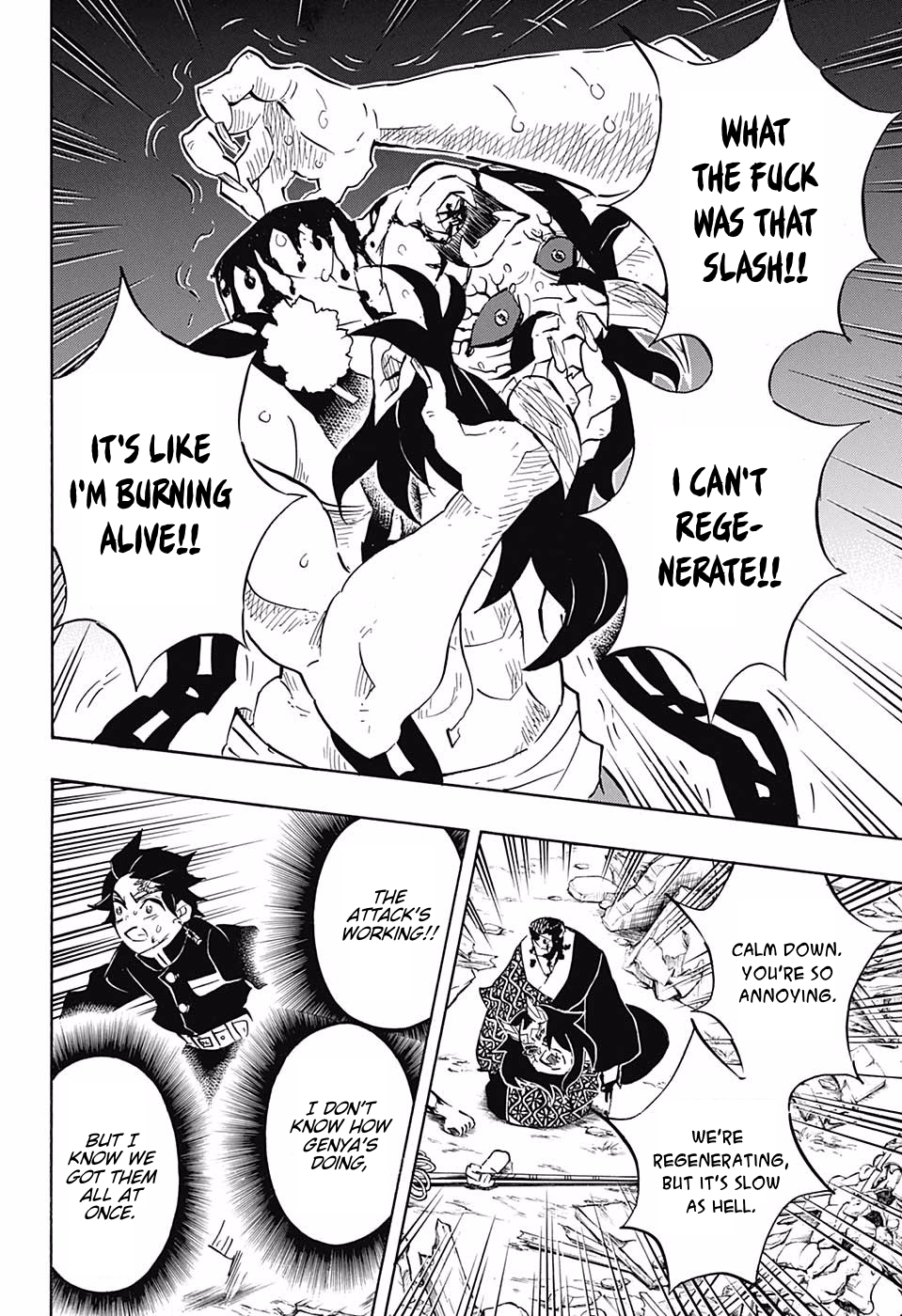 Read Demon Slayer  Kimetsu no Yaiba Manga Online