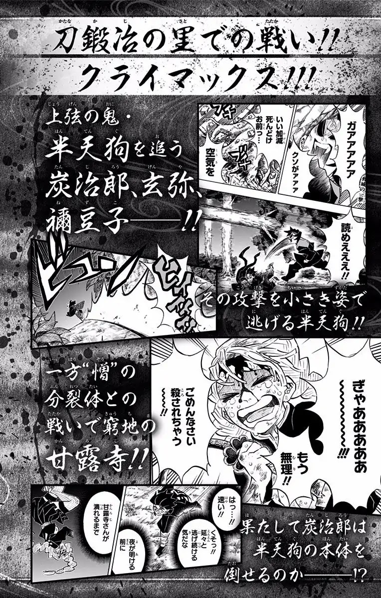 Read Demon Slayer  Kimetsu no Yaiba Manga Online