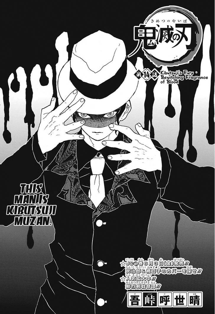 Read Demon Slayer  Kimetsu no Yaiba Manga Online