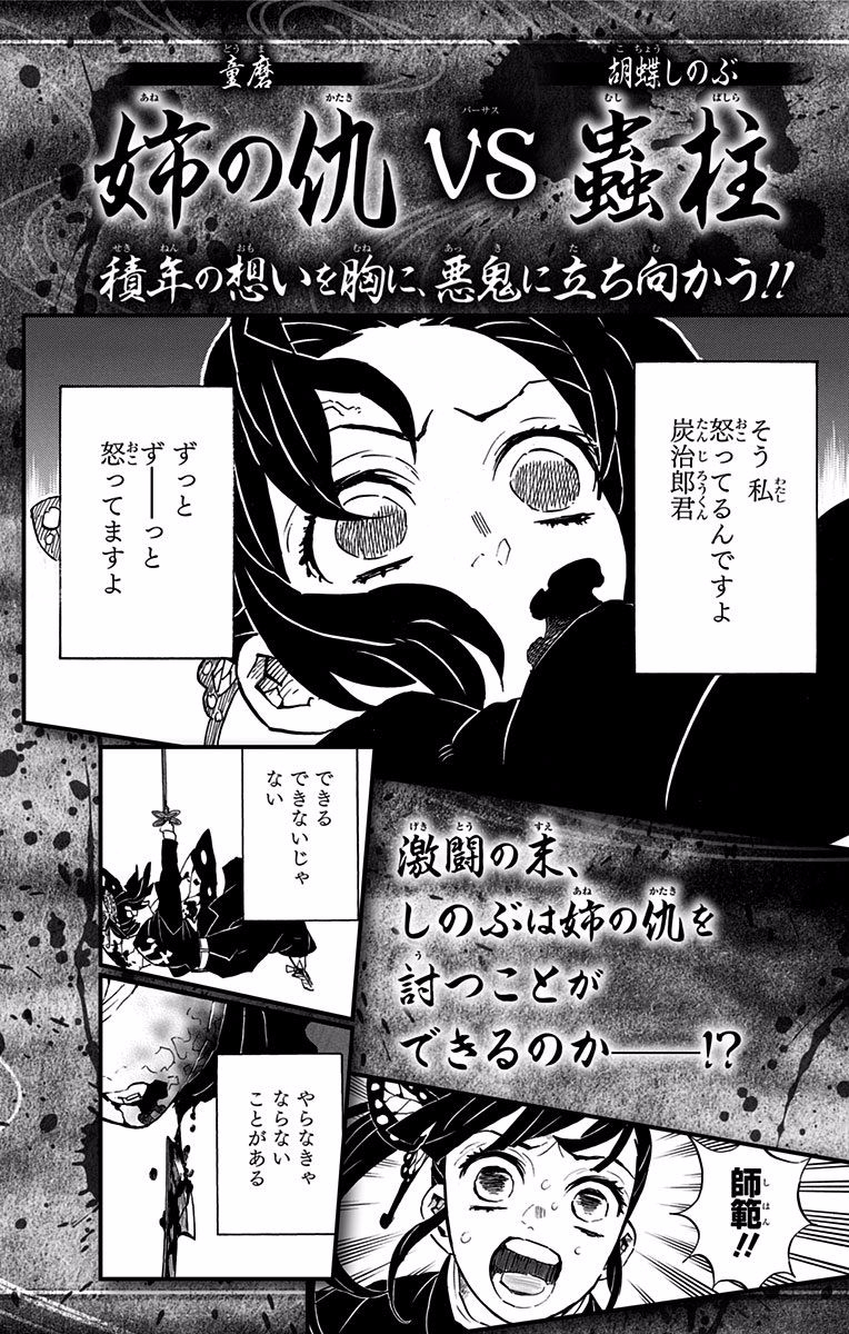Read Demon Slayer  Kimetsu no Yaiba Manga Online