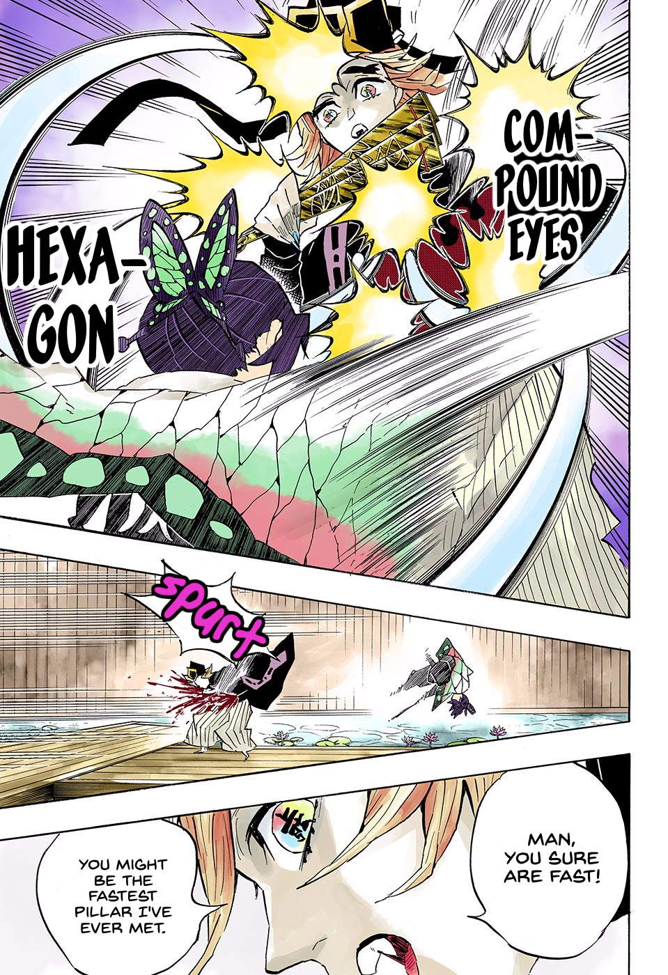 Read Demon Slayer  Kimetsu no Yaiba Manga Online