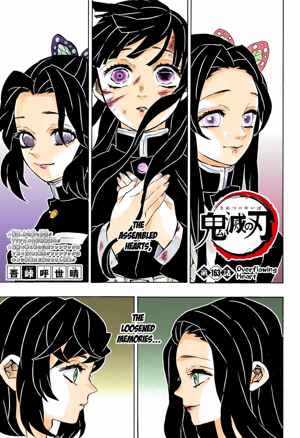 Read Demon Slayer  Kimetsu no Yaiba Manga Online