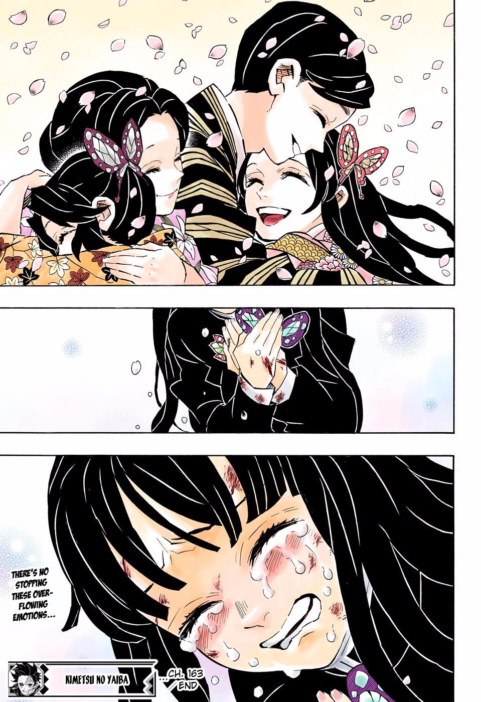 Read Demon Slayer  Kimetsu no Yaiba Manga Online