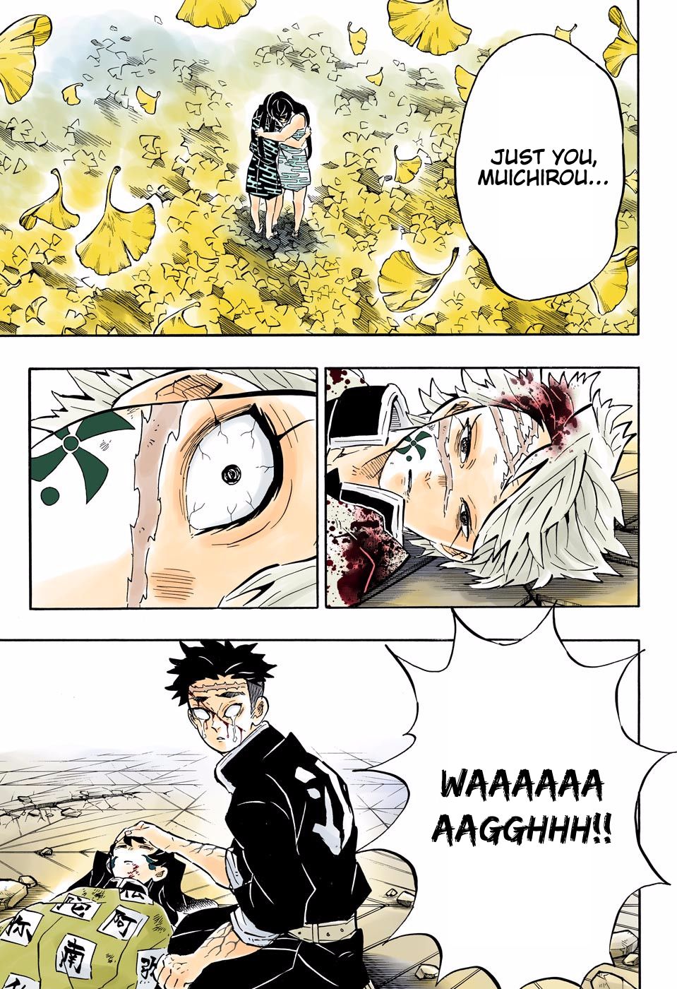 Read Demon Slayer  Kimetsu no Yaiba Manga Online