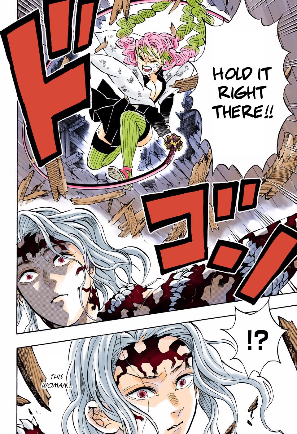 Read Demon Slayer  Kimetsu no Yaiba Manga Online
